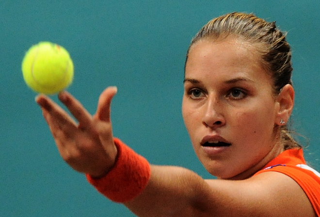 Dominika_Cibulkova_3_FedCup_02-09.jpg