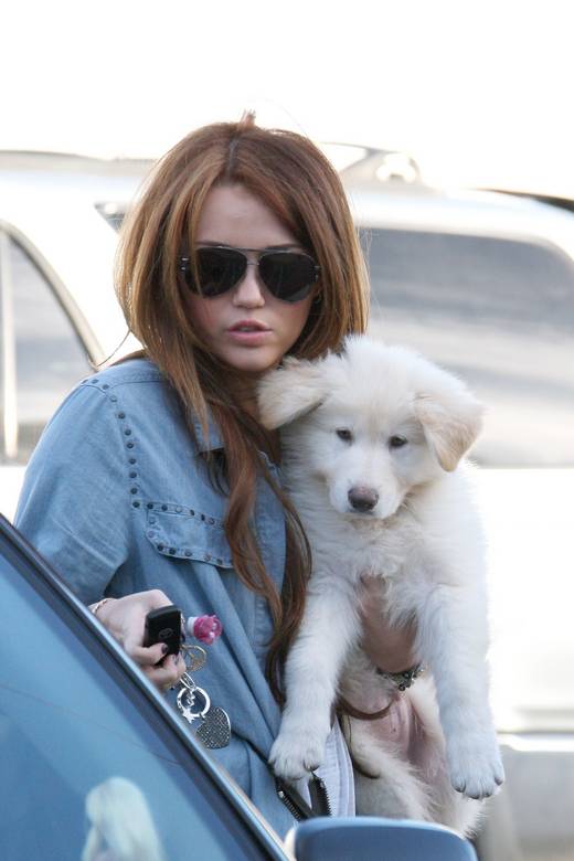 Miley-Cyrus_COM_TolucaLakeCalifornia_24Jan2010_028.jpg
