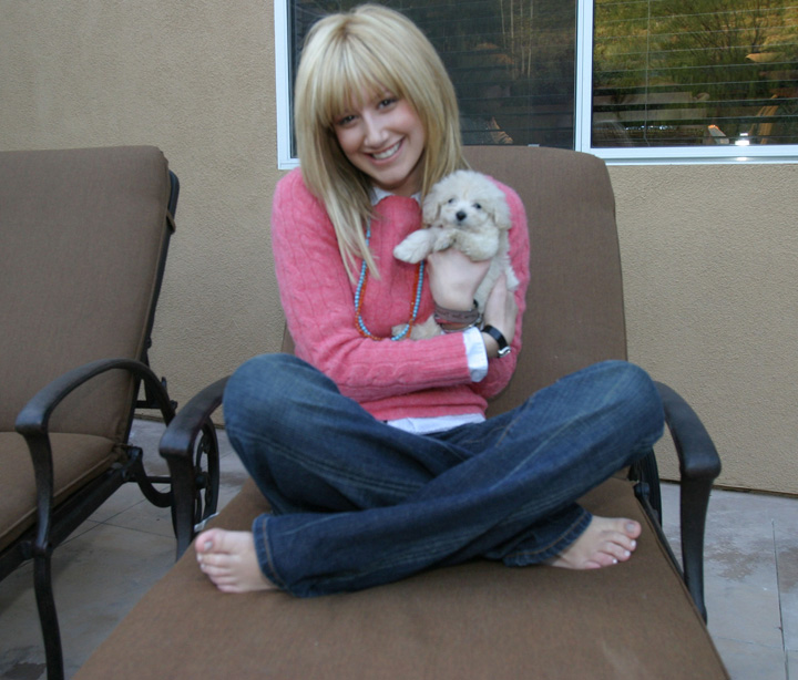 3039_ashlee_pup3.jpg